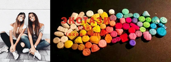 ECSTASY Богданович